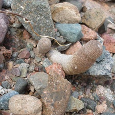 P1016331