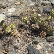 P1016354