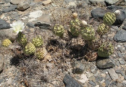P1016354