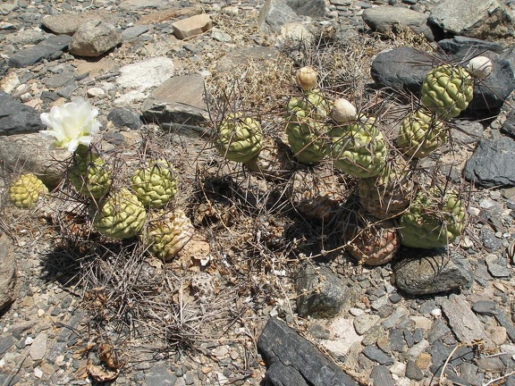 P1016354