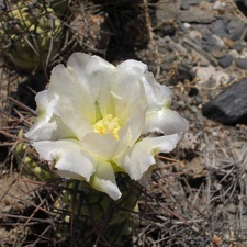 P1016355
