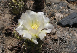 P1016355