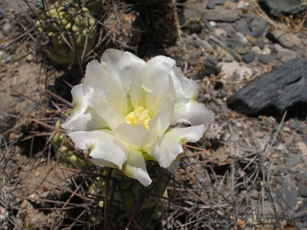 P1016355