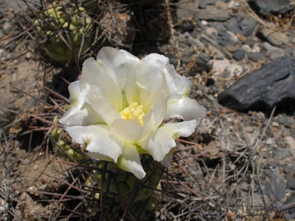 P1016355