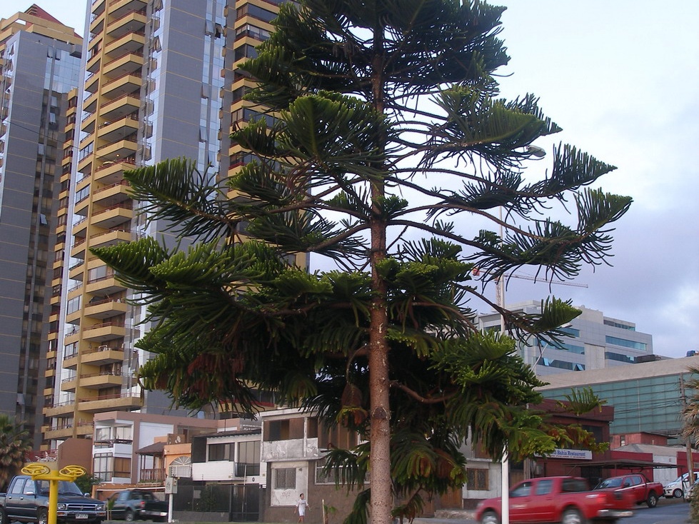 P1017859