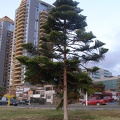 P1017859
