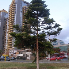 P1017859