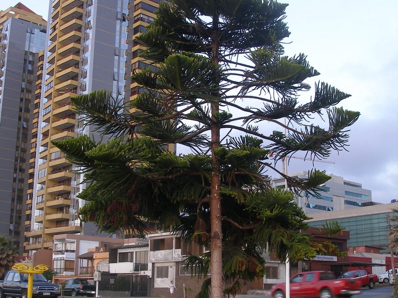 P1017859
