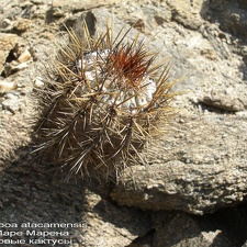 P1017881