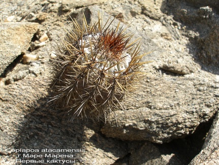 P1017881