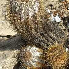 P1017882