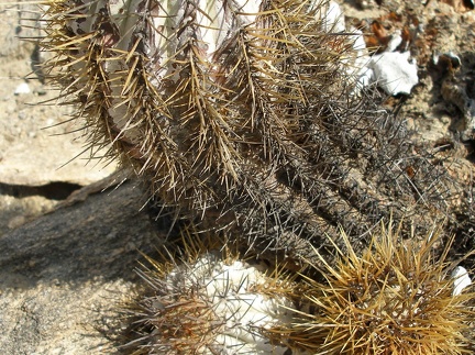 P1017882