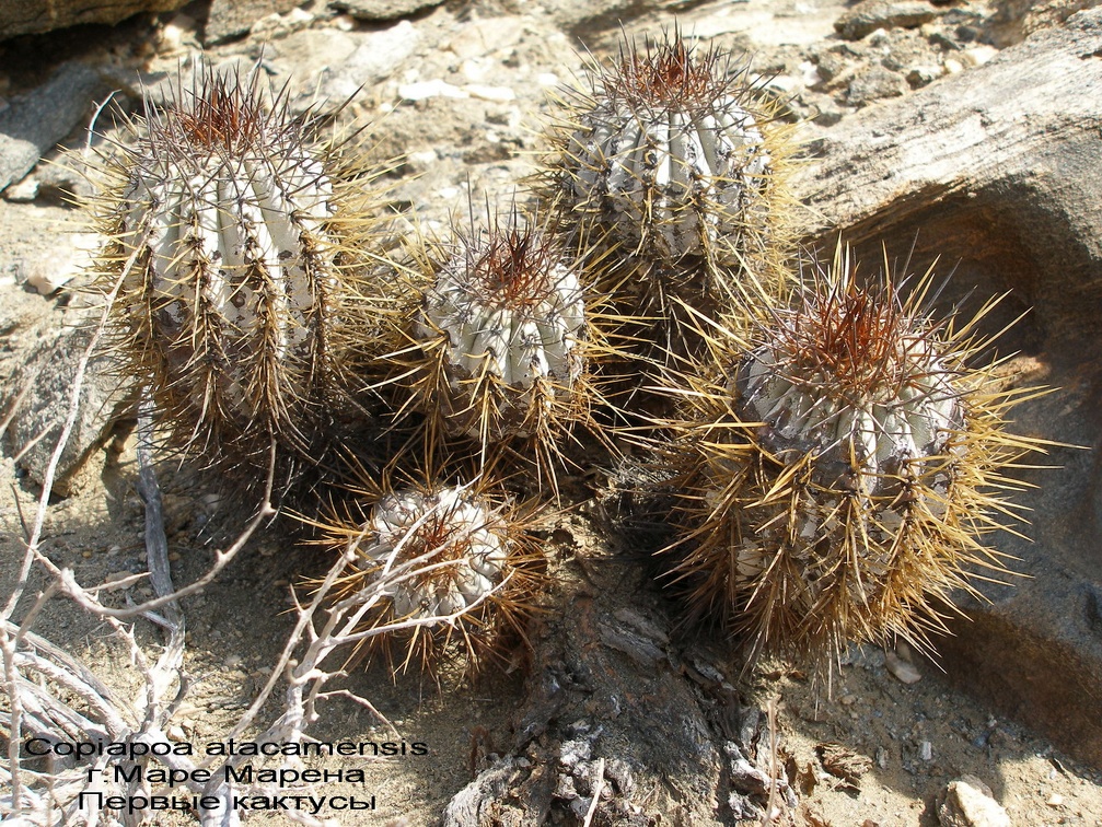 P1017883