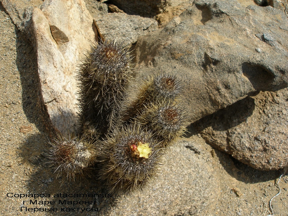 P1017884