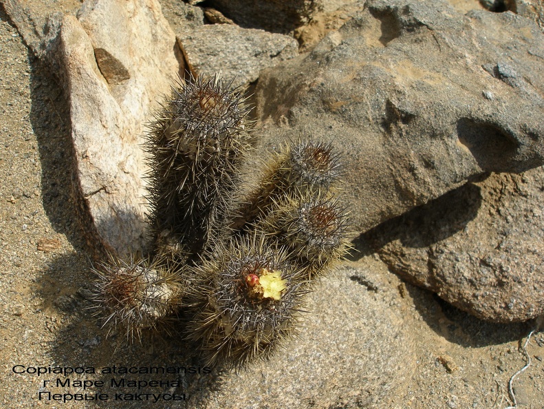 P1017884