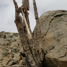 P1017887