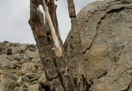 P1017887