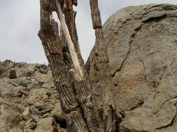 P1017887