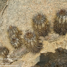 P1017891
