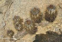 P1017891