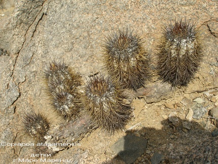 P1017891