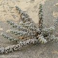 P1017898