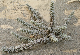 P1017898