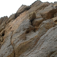 P1017902