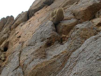P1017902