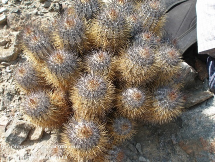 P1017908
