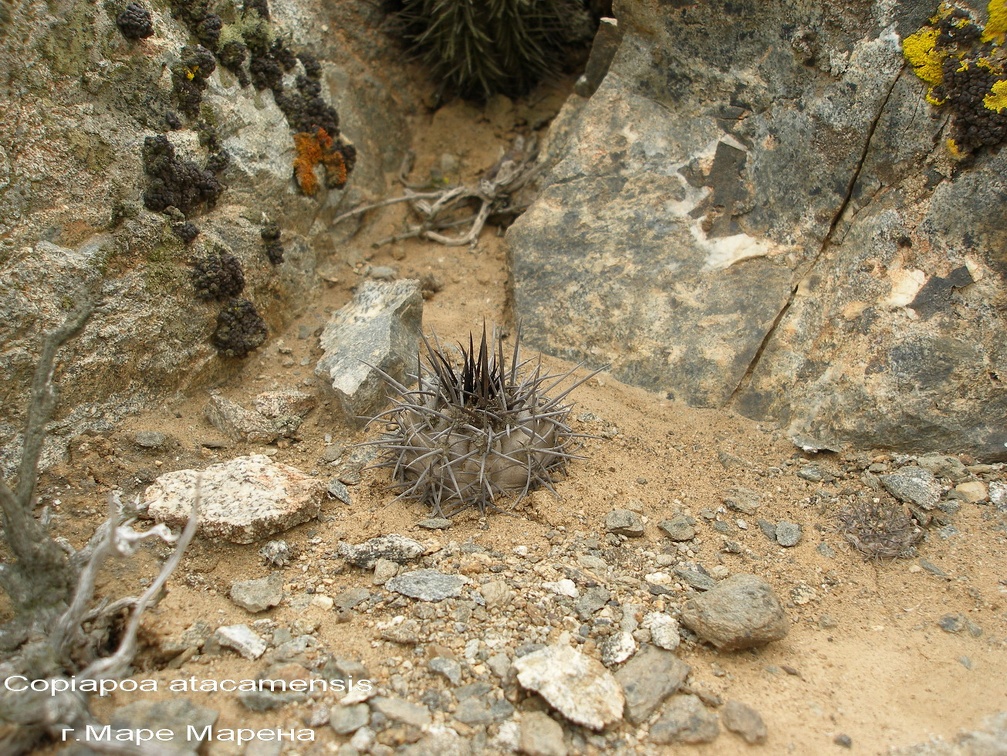 P1017909