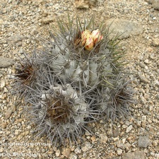 P1017912