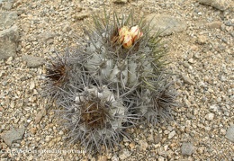 P1017912