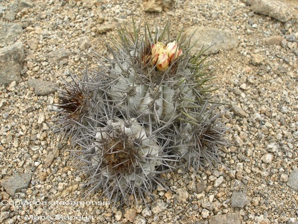 P1017912