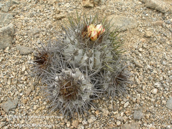 P1017912