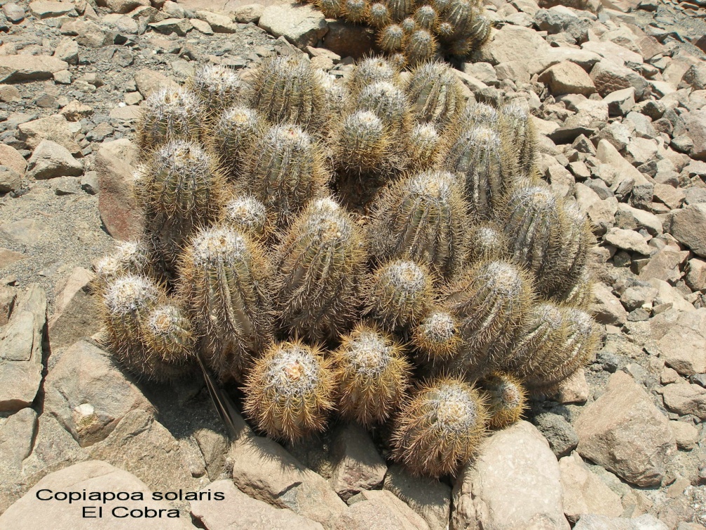 P1017932