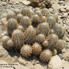 P1017932