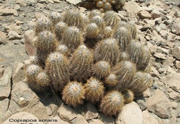 P1017932