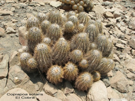 P1017932