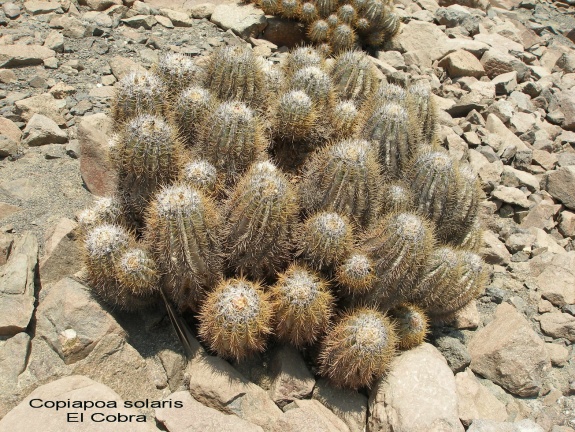 P1017932