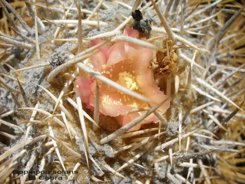 P1017934