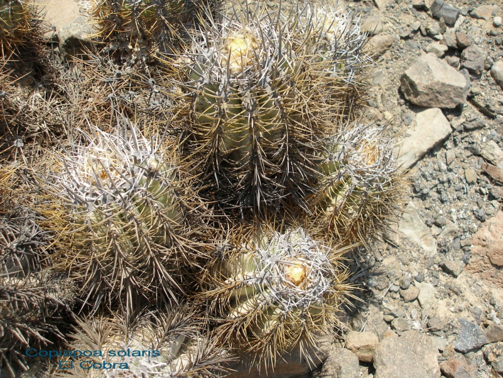 P1017938
