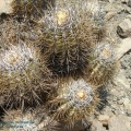 P1017938