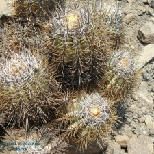 P1017938