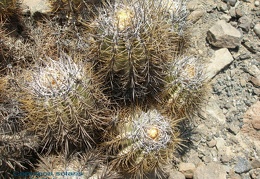 P1017938