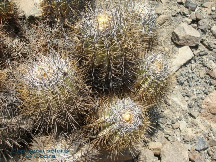 P1017938