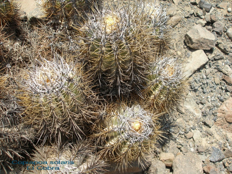 P1017938