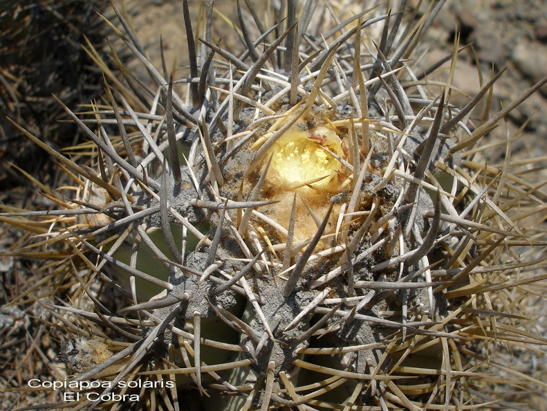 P1017939