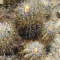 P1017940