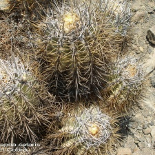 P1017940
